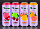 Bloom VALUE BUNDLE! Try all 4 flavours - 355mL x4
